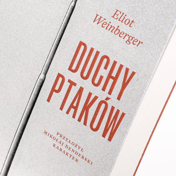 Duchy ptaków
