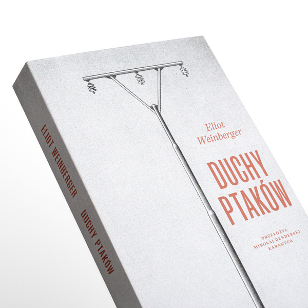 Duchy ptaków